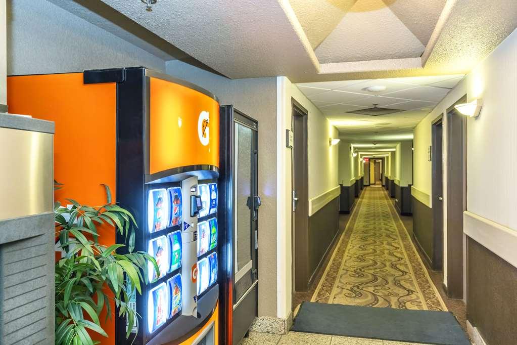 Quality Inn & Suites Yorkton Ανέσεις φωτογραφία